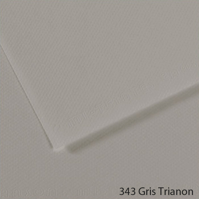 trianon gray pantone
